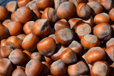 frukt prydnadsträd buskar produktion i Polen