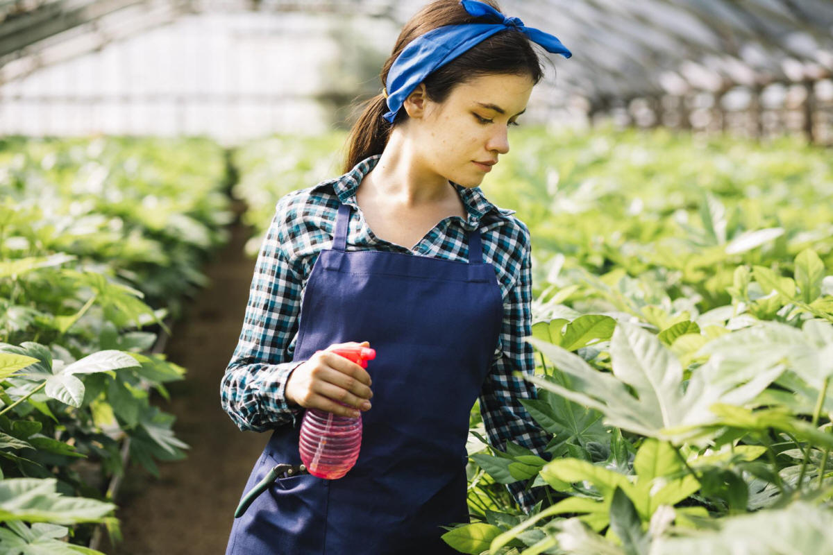 frukt prydnadsträd buskar produktion i Polen